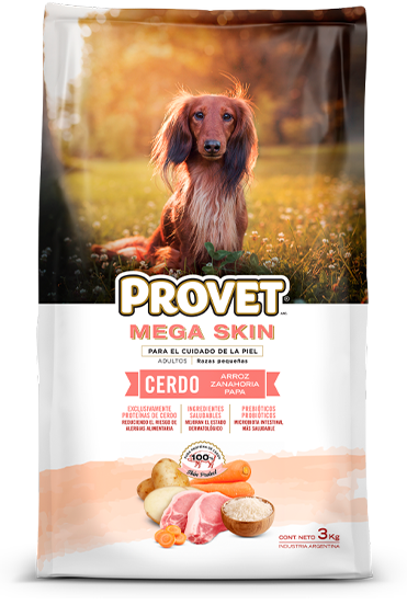 Provet